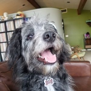 Meet your Posher, Nicole